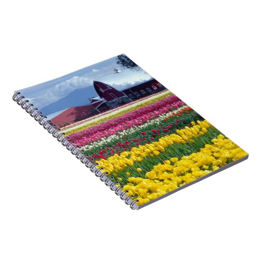 Tulpweergaveveld Notitieboek (Rechterzijde)