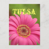 "Tulsa" Pink Gerbera Daisy Postcard Briefkaart (Voorkant)