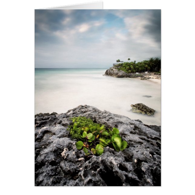 Tulum (Devant)