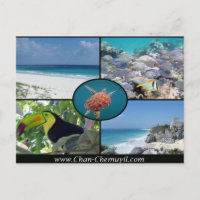 Tulum Vacation Rentals - Chan Chemuyil Post Card
