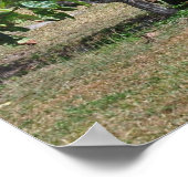 Tulumruiten Poster (Hoek)