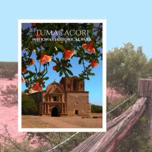Tumacacori Mission Church, Pomegranate Blossom Briefkaart