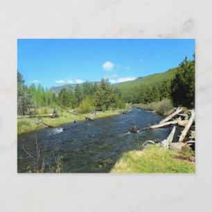 Tumalo Creek Briefkaart