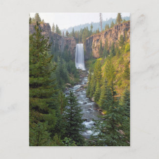Tumalo-Herfsten in bocht Oregon Briefkaart