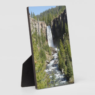 Tumalo-Herfsten, OF Fotoplaat