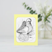 Tumbler 1978 briefkaart (Staand voorkant)