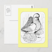 Tumbler 1978 briefkaart (Voorkant / Achterkant)