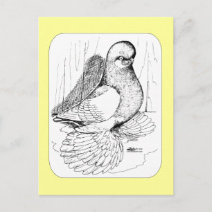 Tumbler 1978 briefkaart