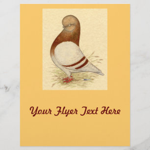 Tumbler-duif: LFCL Mealy Flyer