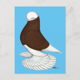 Tumbler: Rode moffe Bald Briefkaart