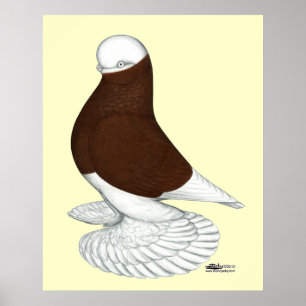 Tumbler: Rode moffe Bald Poster