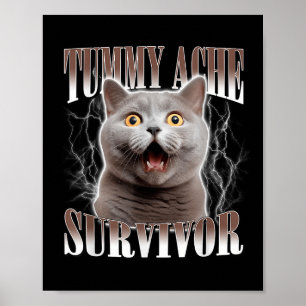 Tummy Ache Survivor Cat Meme Funny Quote Gezegde C Poster