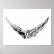 Tuna Tail Impression Art