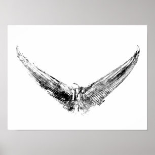 Tuna Tail Impression Art Poster