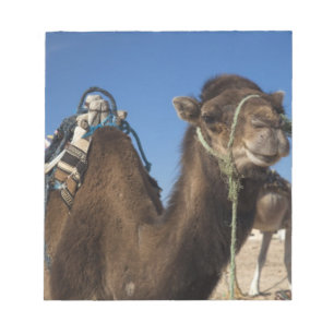 Tunesië, de Sahara, Douz, Zone Touristique, Notitieblok