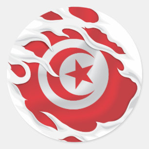 Tunesië gescheurd vlag klassieke ronde Sticker