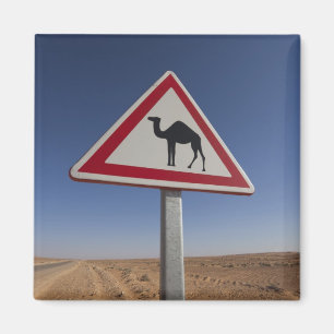 Tunesië, Ksour Area, Ksar Ghilane, Grand Erg 6 Magneet