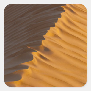 Tunesië, Ksour Area, Ksar Ghilane, Grand Erg Vierkante Sticker