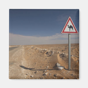 Tunesië, Ksour Area, Ksar Ghilane, oliepijpleidin Magneet