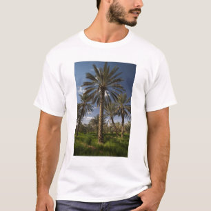Tunesië, Ksour gebied, Ksar Ghilane, dadelpalm 2 T-shirt