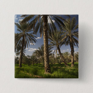 Tunesië, Ksour gebied, Ksar Ghilane, dadelpalm Vierkante Button 5,1 Cm