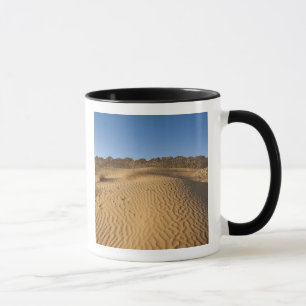 Tunesië, Ksour gebied, Ksar Ghilane, Grand Erg 2 Mok
