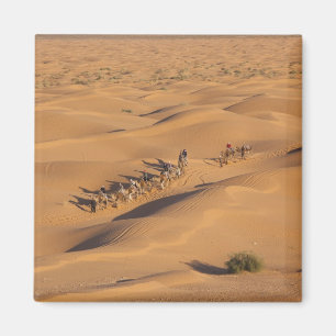 Tunesië, Ksour gebied, Ksar Ghilane, Grand Erg 4 Magneet