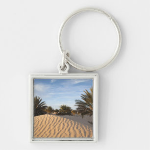 Tunesië, Sahara, Douz, Great Dune, palm 2 Sleutelhanger