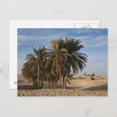 Tunesië, Sahara, Douz, Great Dune, palm Briefkaart (Voorkant / Achterkant)