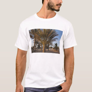 Tunesië, Sahara, Douz, Great Dune, palm T-shirt