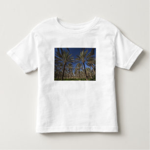 Tunesië, Sahara, Douz, Zone Touristique, 2 Kinder Shirts