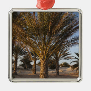 Tunesië, Saharawoestijn, Douz, Grote Duin, palm Metalen Ornament