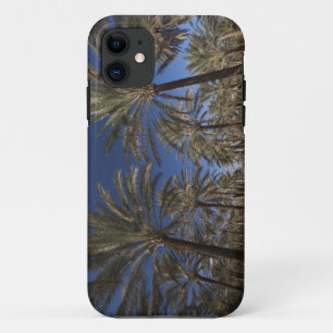Tunesië, Saharawoestijn, Douz, toeristische zone, iPhone 11 Hoesje