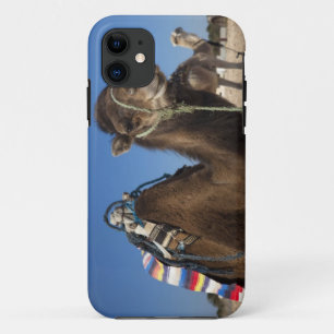Tunesië, Saharawoestijn, Douz, Zone Touristique, iPhone 11 Hoesje
