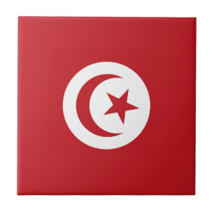 Tunesië vlag tegeltje