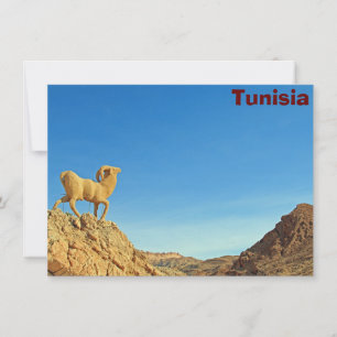 Tunesische geitenkaart