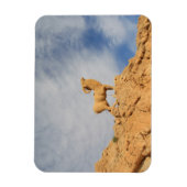 Tunesische geitenstandbeeld magneet (Verticaal)