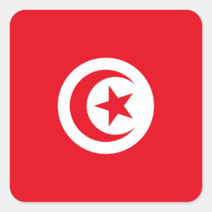 Tunesische vlaggen vierkante sticker