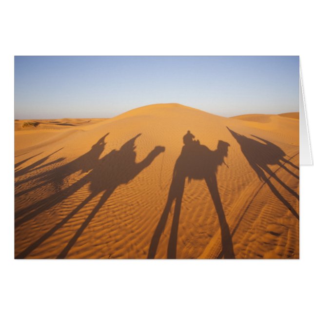 Tunisie, Ksour Area, Ksar Ghilane, Grand Erg 5 (Devant horizontal)