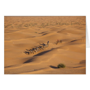 Tunisie, région des Ksour, Ksar Ghilane, Grand Erg