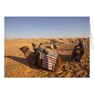Tunisie, région des Ksour, Ksar Ghilane, Grand Erg