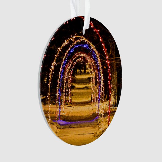 Tunnel Des Lumières (devant)