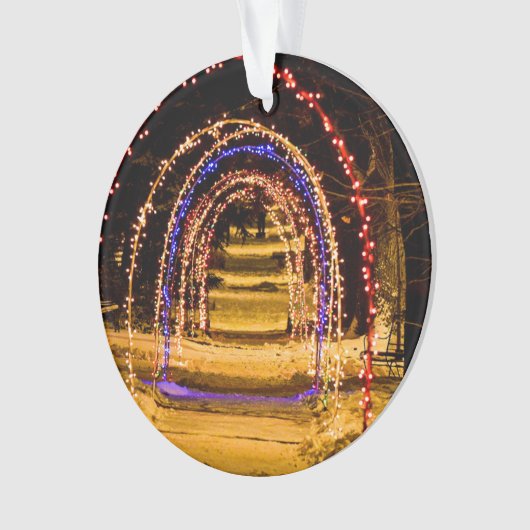 Tunnel Des Lumières (devant)