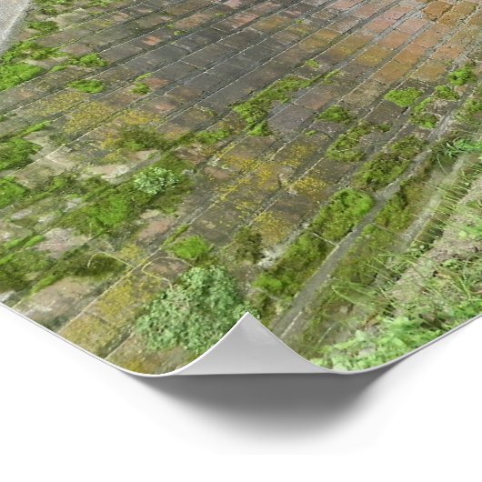 Tunnel Poster (Hoek)