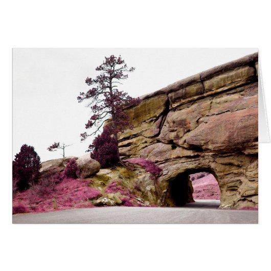 tunnel routier (Devant horizontal)