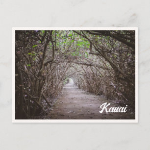 Tunnel van Bomen Kauai Kaapa Foto Briefkaart