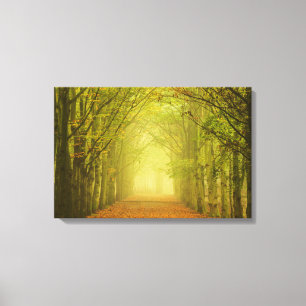 Tunnel van licht canvas afdruk