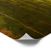 Tunnel van licht in het bos poster (Hoek)