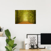 Tunnel van licht in het bos poster (Thuiskantoor)