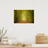 Tunnel van licht in het bos poster (Keuken)